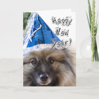 Keeshond New Year greeting card
