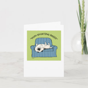 Keeshond "Non-Sporting Breed" Card