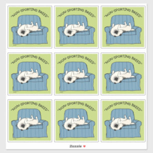 Keeshond Non-Sporting Breed Funny Keesie Dog