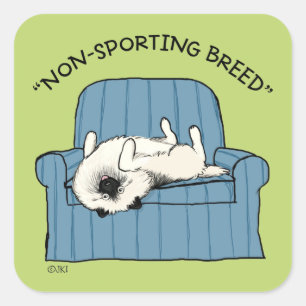 Keeshond Non-Sporting Breed Funny Keesie Dog Square Sticker