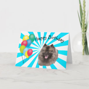 Keeshond on white Starburst Happy Birthday Card