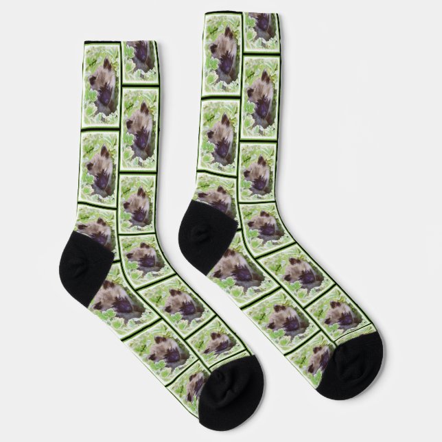 Keeshond Painting Puppy in the Garden Original Art Socks (Right)