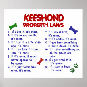 KEESHOND PL2 POSTER
