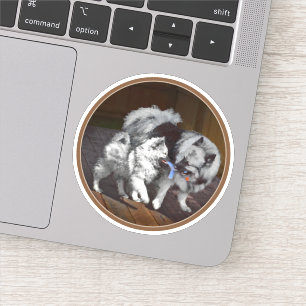 Keeshond Playtime Painting - Cute Original Dog Art