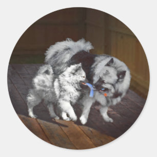 Keeshond Playtime Painting - Cute Original Dog Art Classic Round Sticker