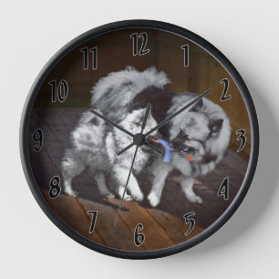 Keeshond Playtime Painting - Cute Original Dog Art Clock