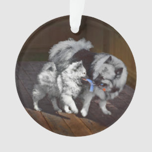 Keeshond Playtime Painting - Cute Original Dog Art Ornament