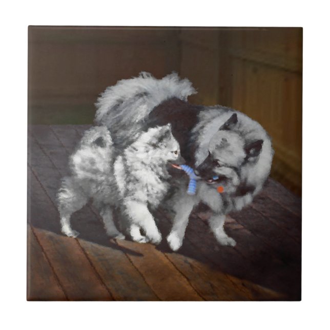 Keeshond Playtime Painting - Cute Original Dog Art Tile (Front)