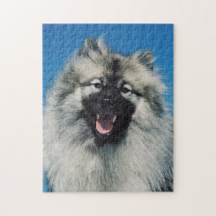keeshond.png jigsaw puzzle