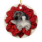 Keeshond Poinsettia Puppy Ornament