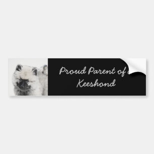 Keeshond Puppy Drawing - Cute Original Dog Art Bumper Sticker
