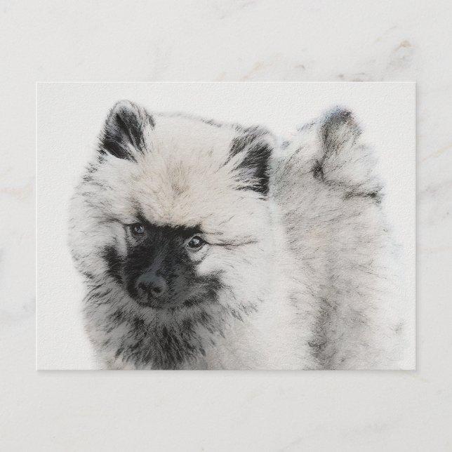 Keeshond Puppy Drawing - Cute Original Dog Art Postcard (Front)