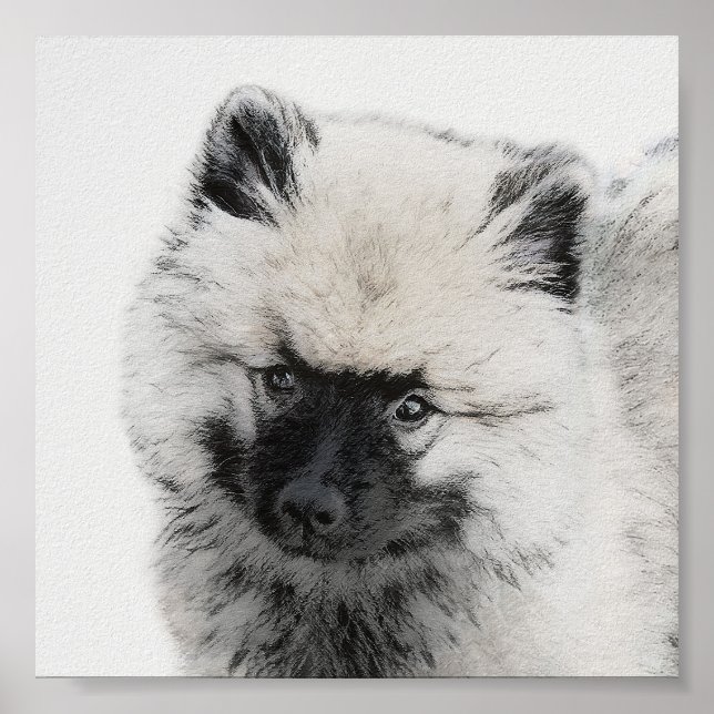 Keeshond Puppy Drawing - Cute Original Dog Art Poster (Front)