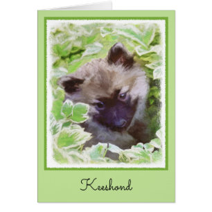 Keeshond Puppy in the Garden Painting Original Art