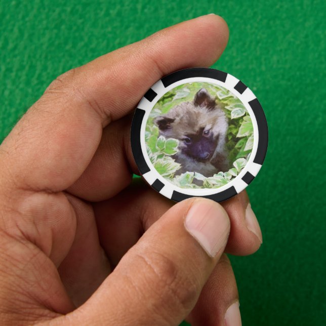 Keeshond Puppy in the Garden Painting Original Art Poker Chips (Hand)