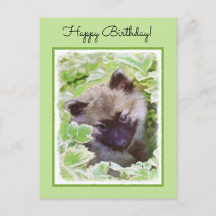 Keeshond Puppy in the Garden Painting Original Art Postcard