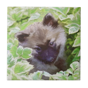 Keeshond Puppy in the Garden Painting Original Art Tile