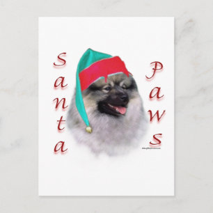 Keeshond Santa Paws Holiday Postcard