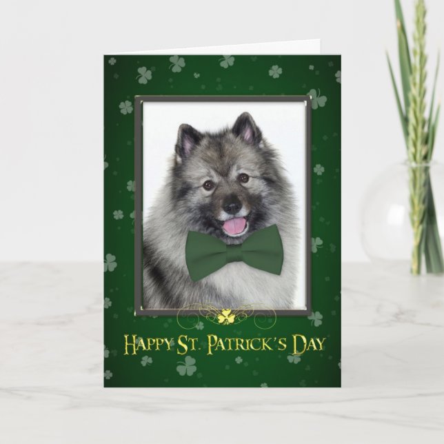 Keeshond St. Patrick's Day Card (Front)