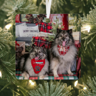 Keeshond truck ornament