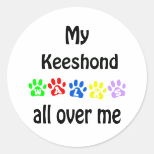 Keeshond Walks Design Classic Round Sticker