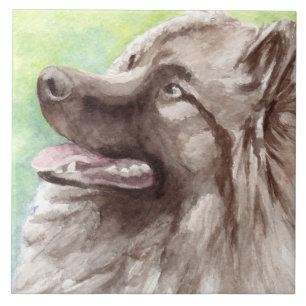 Keeshond Watercolor Portrait Tile