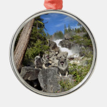 Keeshond Waterfall Ornament