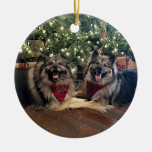 Keeshond with Christmas Tree Ceramic Tree Decoration