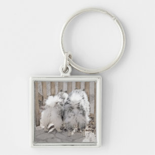 Keeshonds at the Gate Painting - Original Dog Art Key Ring