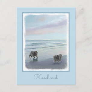 Keeshonds at the Seashore Painting Dog Art Postcard