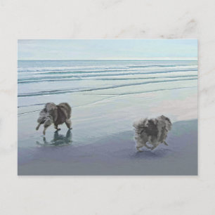 Keeshonds at the Seashore Painting Dog Art Postcard