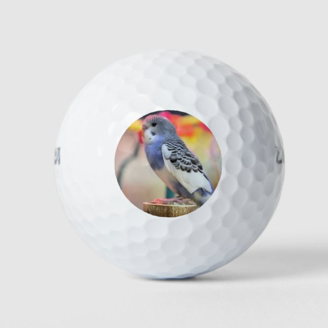 Keet Golf Balls (Front)