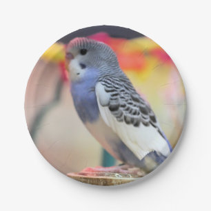 Keet Paper Plate