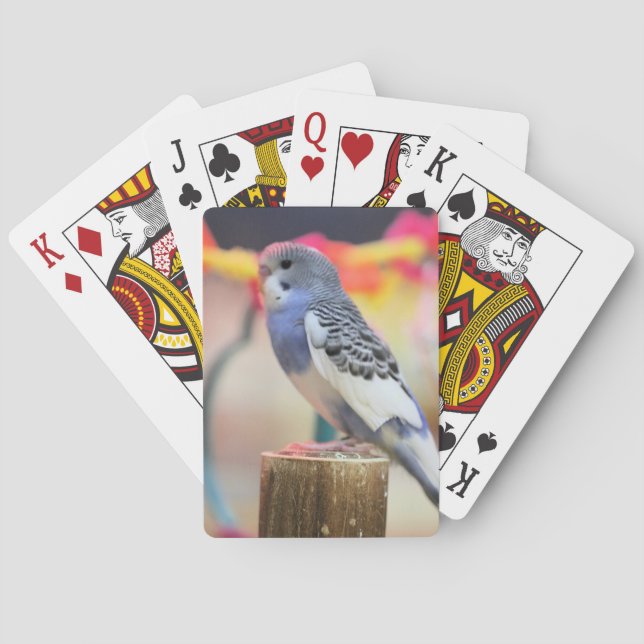 Keet Playing Cards (Back)