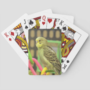 Keet Playing Cards