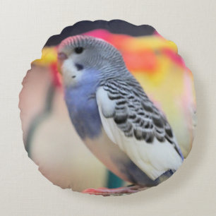 Keet  round cushion