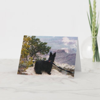 Kelly Boo at Grand Canyon Greeting Card
