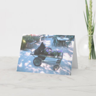 Kelly Boo on Flower Cart Greeting Card