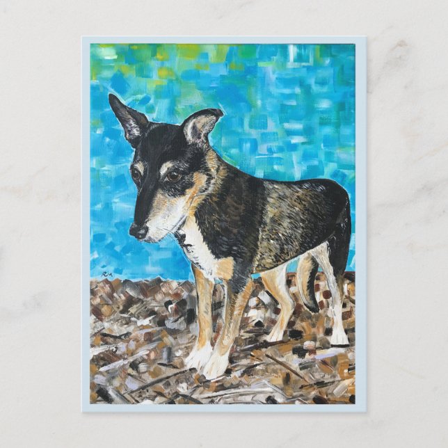 Kelpie dog postcard (Front)