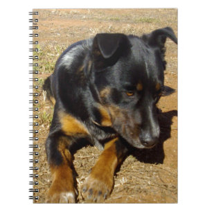 Kelpie_Farm_Life,_ Notebook