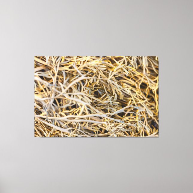 Kelps  canvas print (Front)