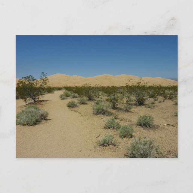 Kelso Dunes at Mojave National Park Postcard (Front)