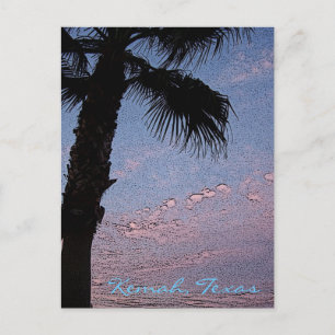 Kemah Palm Sunset postcard - customised