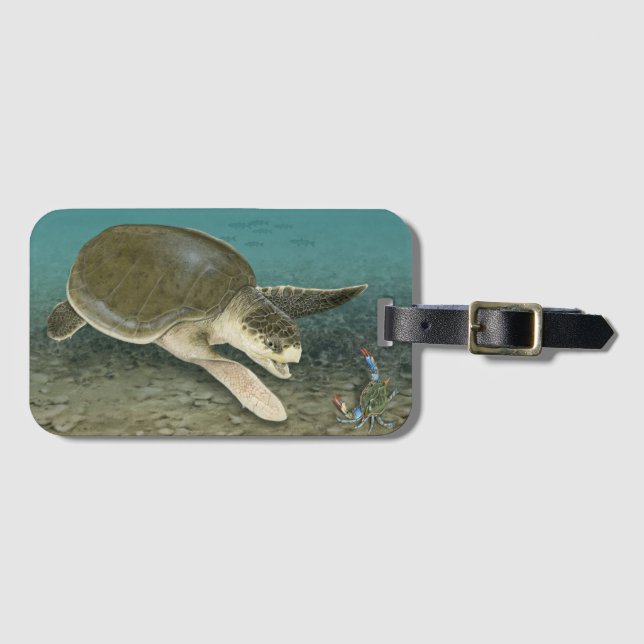 Kemp's Ridley Sea Turtle in Habitat Luggage Tag (Front Horizontal)
