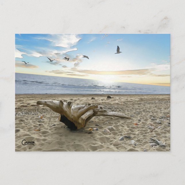 Kenai Beach Alaska - Postcard (Front)