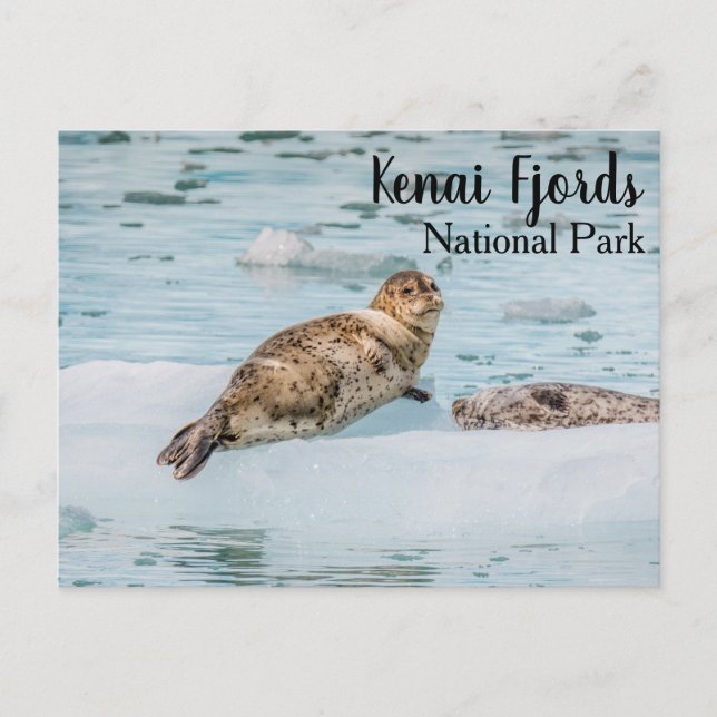 Kenai Fjords National Park Postcard (Front)