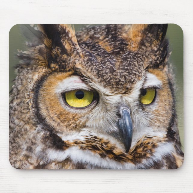 Kendall County, Texas. Great Horned Owl Mouse Mat (Front)