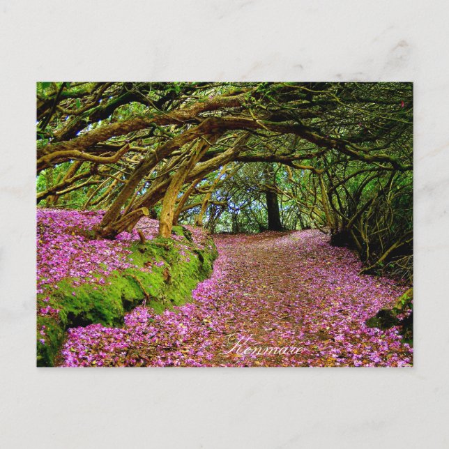 Kenmare Postcard (Front)