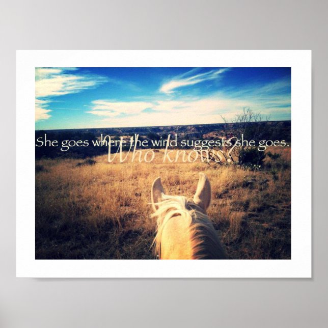 Kenny Chesney Country Western Cowgirl Horse Poster (Front)