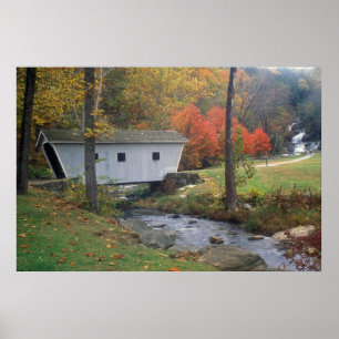 Kent Falls and Covered Bridge Poster
